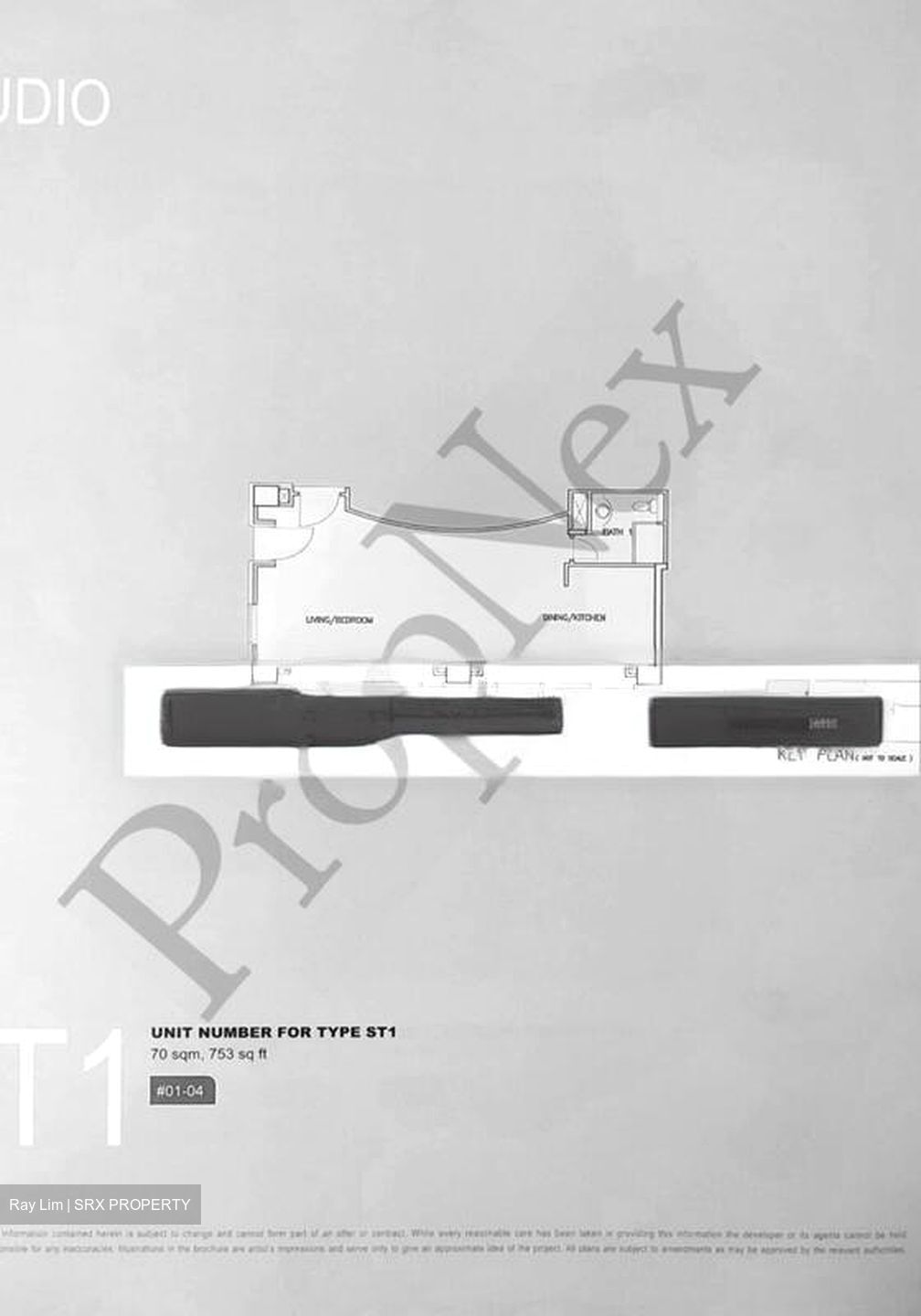 Orchard Scotts (D9), Condominium #561448241